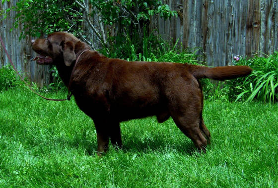 chunk/june2009090.jpg