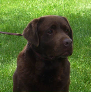 chunk/june2009098.jpg