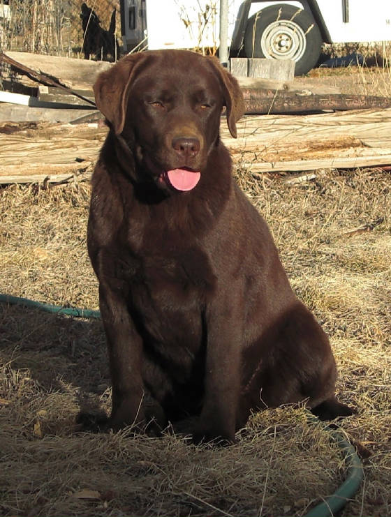 spring2009/leah1092.jpg