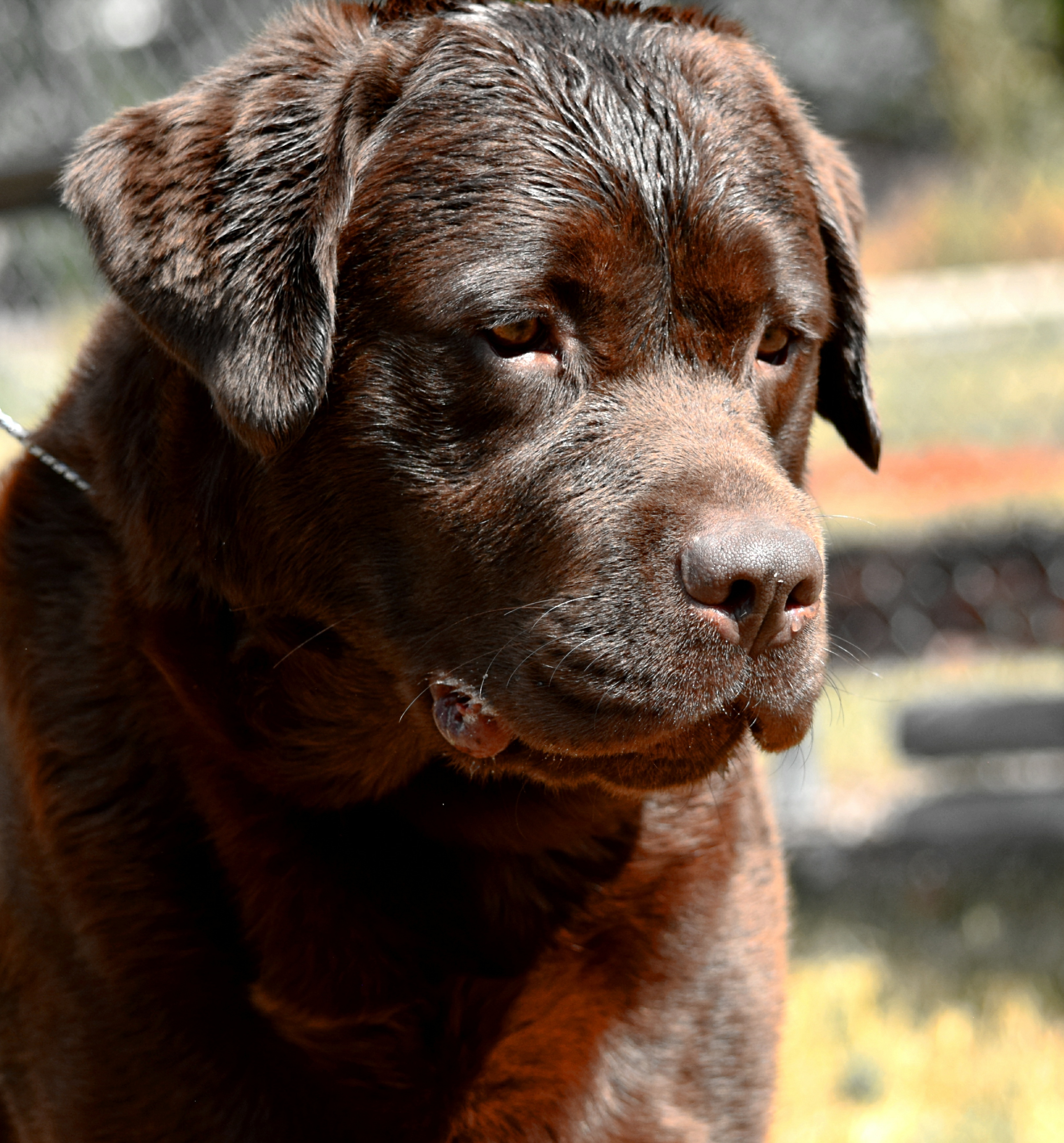 vinseeker/jacksonhead_2819.jpg